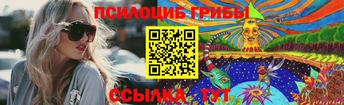 Псилоцибиновые грибы ЛСД  Псилоцибиновые грибы прущие грибы  Нарткала  Вход с VPN 